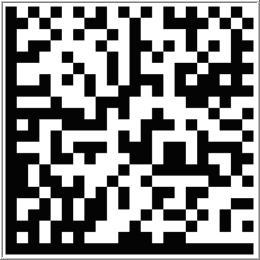 Штрихкод GS1 Datamatrix для проверки передачи сканером символа GS1 7.png